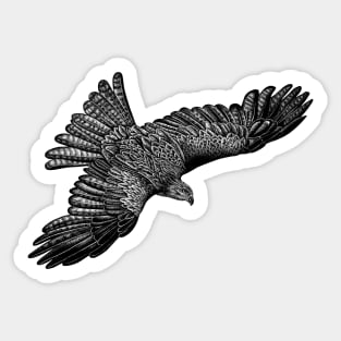 Flying black kite bird Sticker